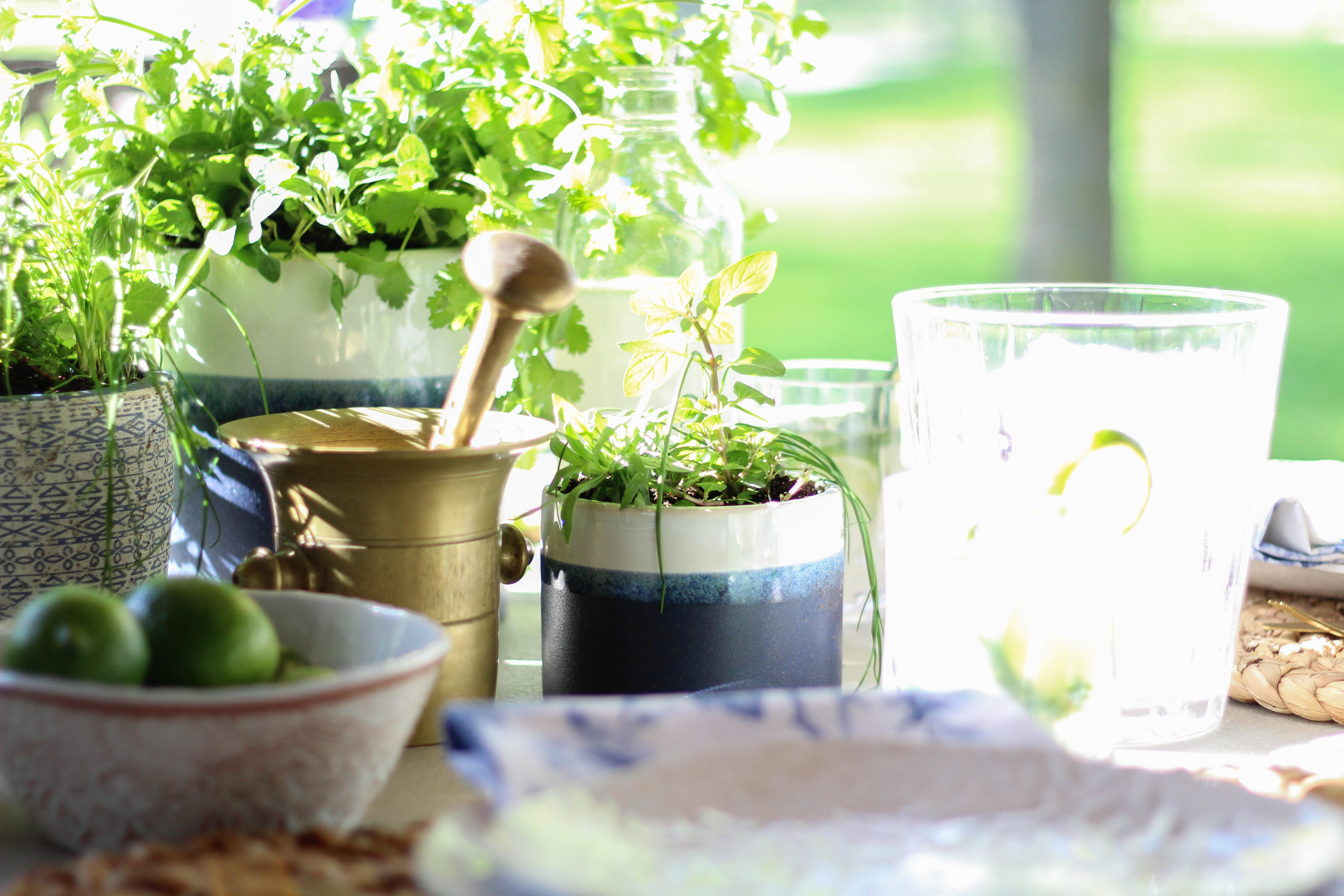 Fresh Mint and Mojitos Outdoor Tablescape